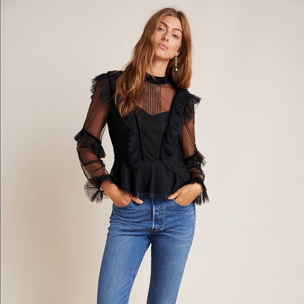 Anthropologie Maggie Sheer Victorian Blouse - Picture 6 of 6